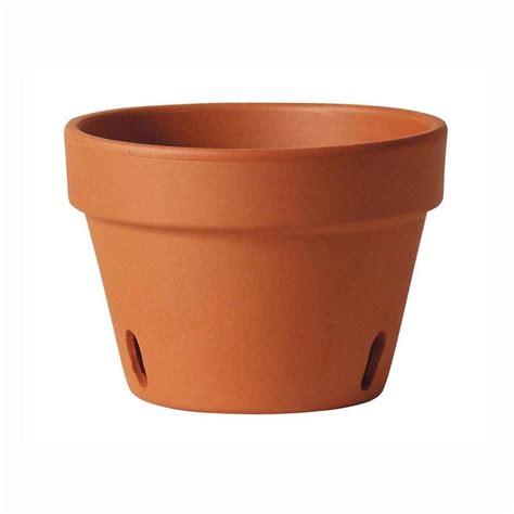 Features drainage hole to prevent overwatering. . Lowes orchid pots